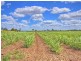 2208 Wyrallah Road, Tuckurimba NSW 2480