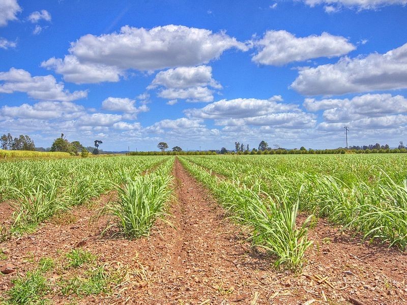 2208 Wyrallah Road, Tuckurimba NSW 2480