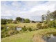 463 Tuntable Creek Road, The Channon NSW 2480