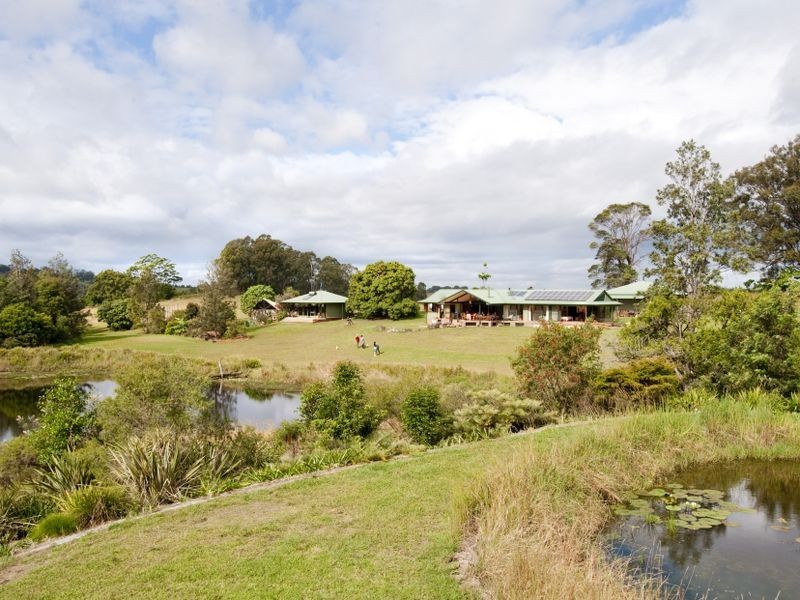 463 Tuntable Creek Road, The Channon NSW 2480