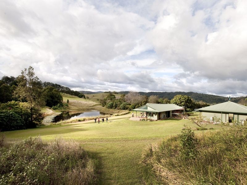 463 Tuntable Creek Road, The Channon NSW 2480