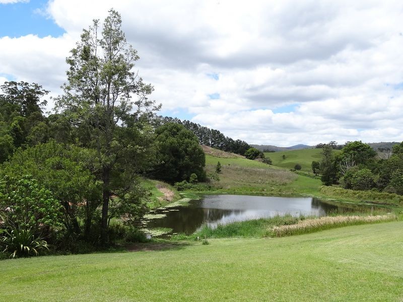 463 Tuntable Creek Road, The Channon NSW 2480