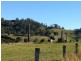 463 Tuntable Creek Road, The Channon NSW 2480