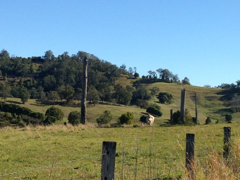 463 Tuntable Creek Road, The Channon NSW 2480