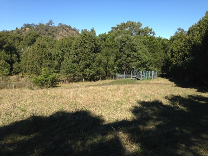 463 Tuntable Creek Road, The Channon NSW 2480