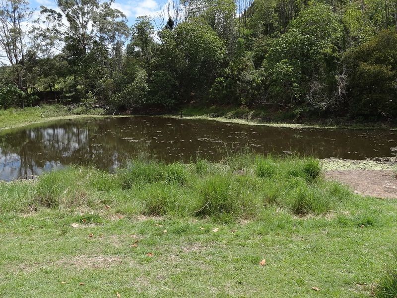 463 Tuntable Creek Road, The Channon NSW 2480