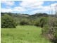 463 Tuntable Creek Road, The Channon NSW 2480