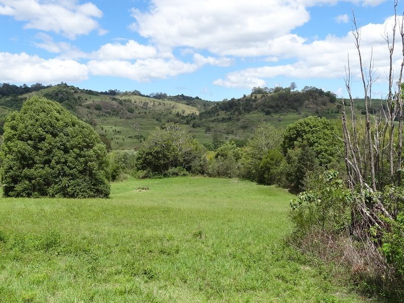 463 Tuntable Creek Road, The Channon NSW 2480