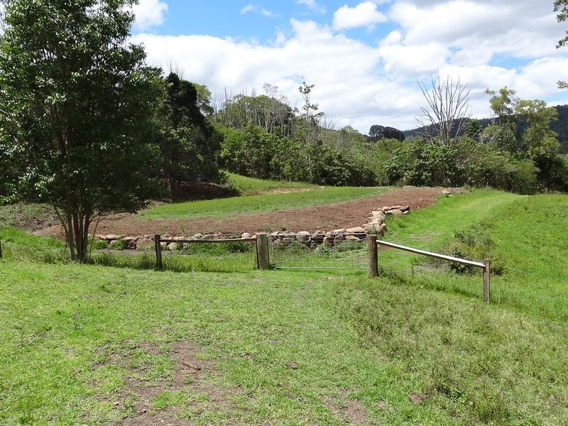 463 Tuntable Creek Road, The Channon NSW 2480