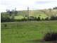463 Tuntable Creek Road, The Channon NSW 2480