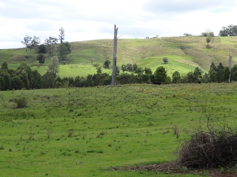 463 Tuntable Creek Road, The Channon NSW 2480
