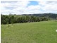 463 Tuntable Creek Road, The Channon NSW 2480