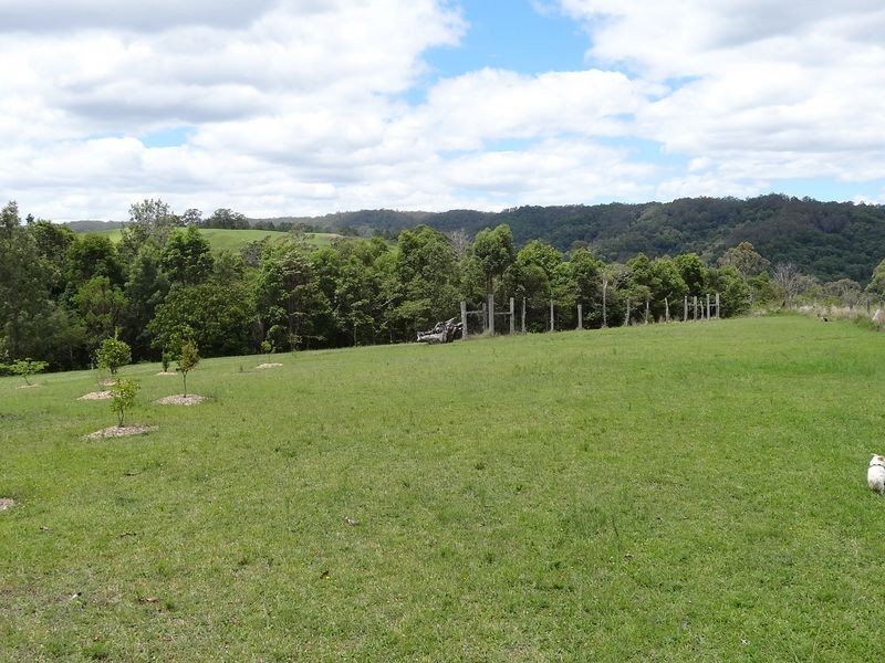 463 Tuntable Creek Road, The Channon NSW 2480