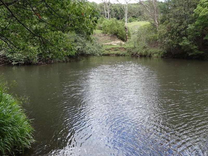 463 Tuntable Creek Road, The Channon NSW 2480