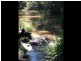 463 Tuntable Creek Road, The Channon NSW 2480