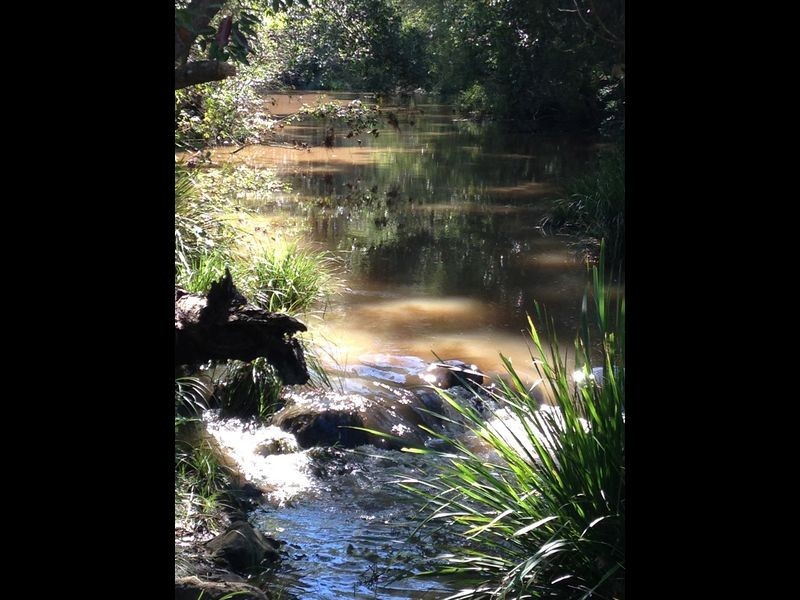 463 Tuntable Creek Road, The Channon NSW 2480