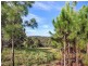 41 Henson Road, Wyrallah NSW 2480
