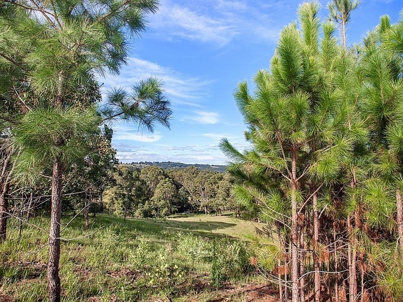 41 Henson Road, Wyrallah NSW 2480