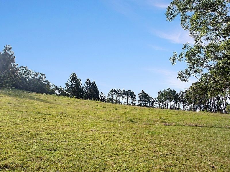 41 Henson Road, Wyrallah NSW 2480