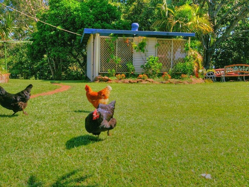 537 Ballina Road, Goonellabah NSW 2480