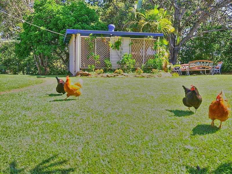 537 Ballina Road, Goonellabah NSW 2480