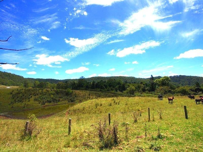 181 Lindsay Road, Bentley NSW 2480