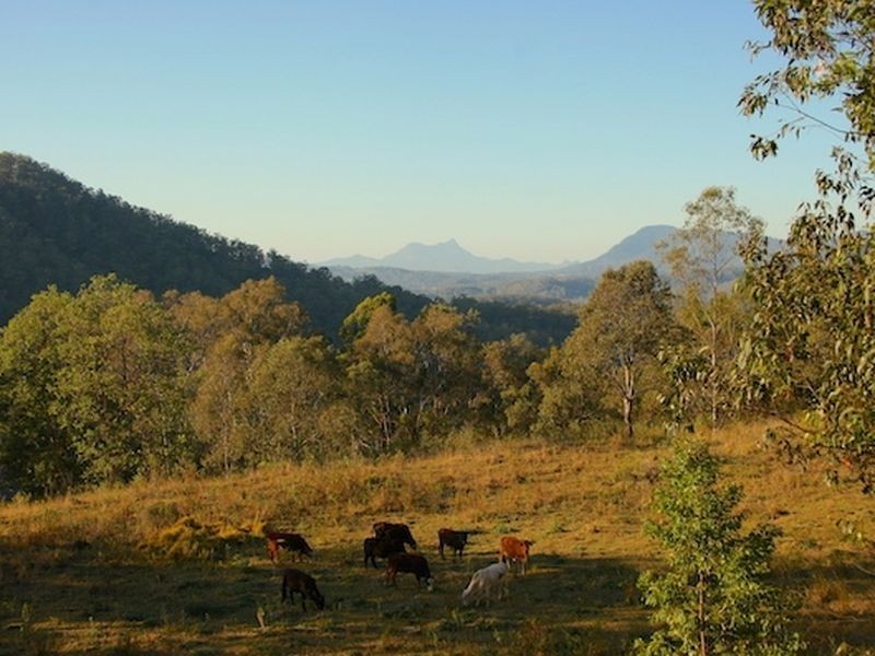 181 Lindsay Road, Bentley NSW 2480