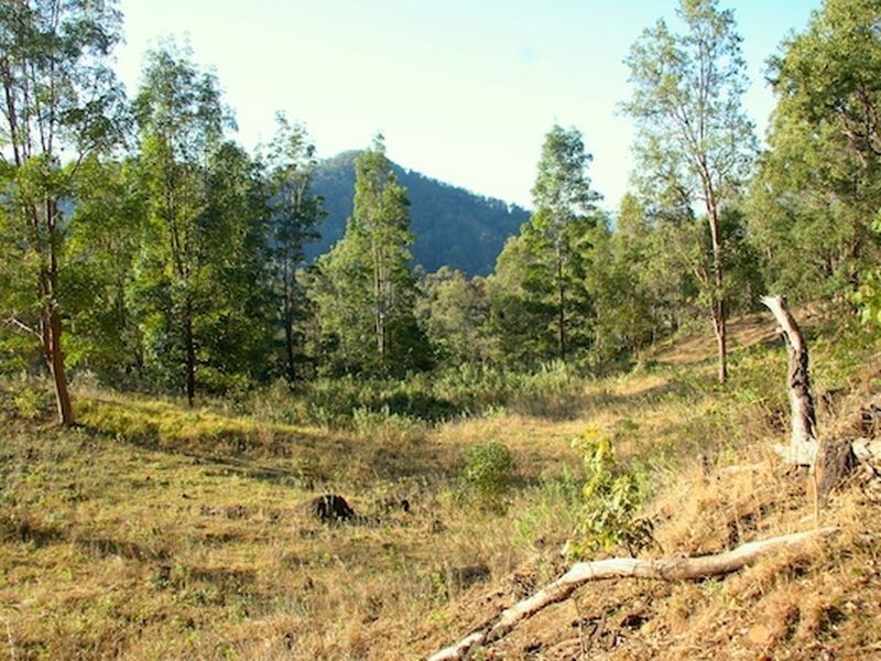 181 Lindsay Road, Bentley NSW 2480