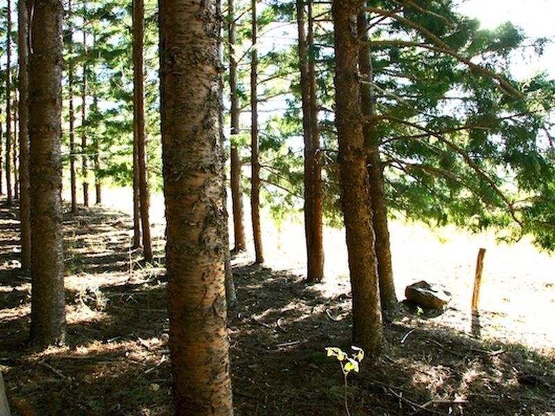 181 Lindsay Road, Bentley NSW 2480