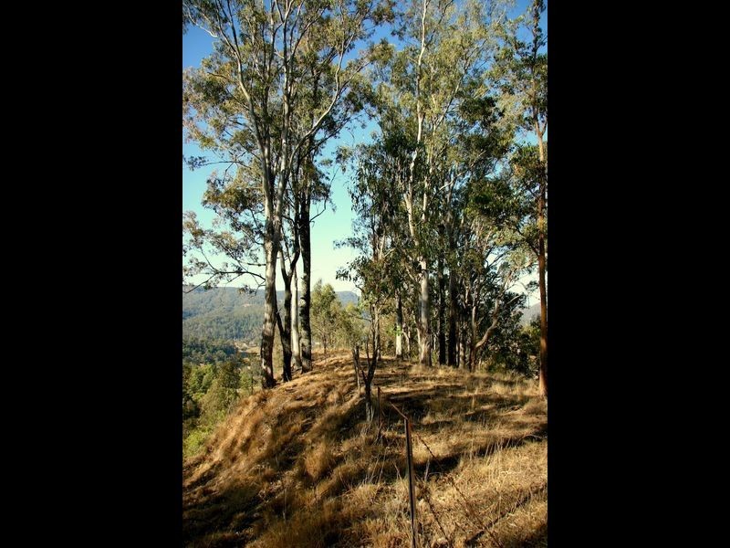 181 Lindsay Road, Bentley NSW 2480