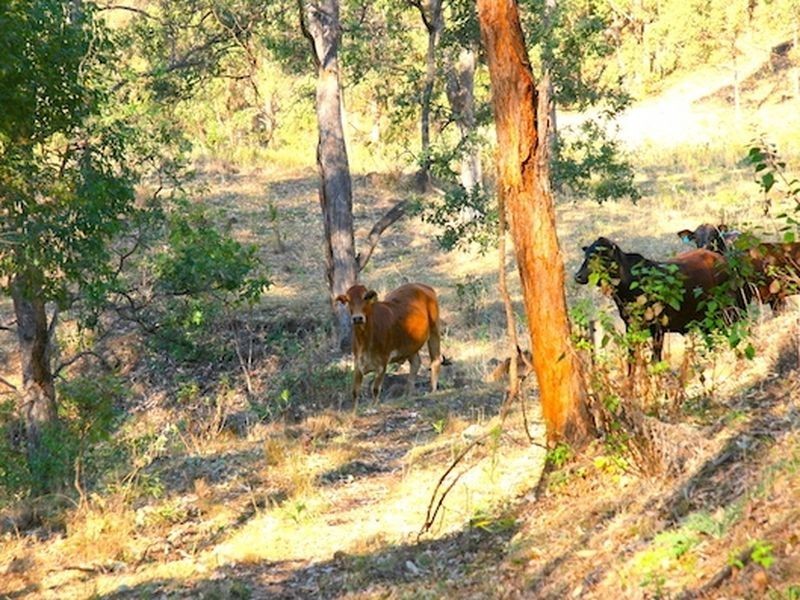 181 Lindsay Road, Bentley NSW 2480