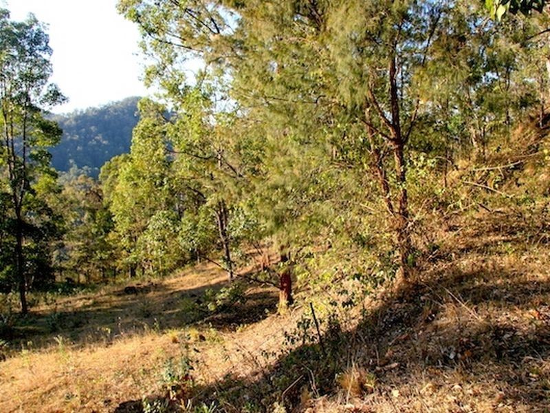 181 Lindsay Road, Bentley NSW 2480