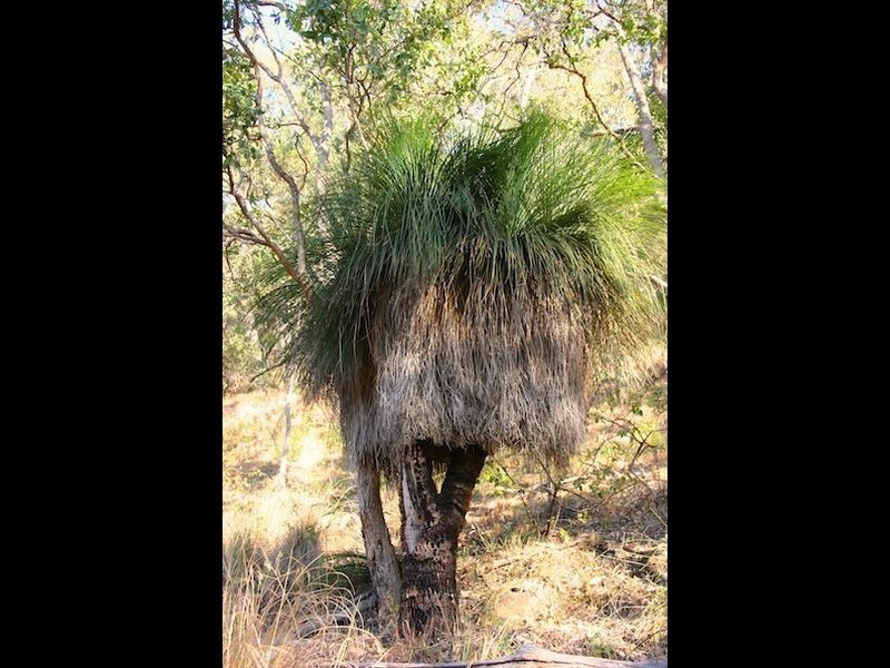 181 Lindsay Road, Bentley NSW 2480