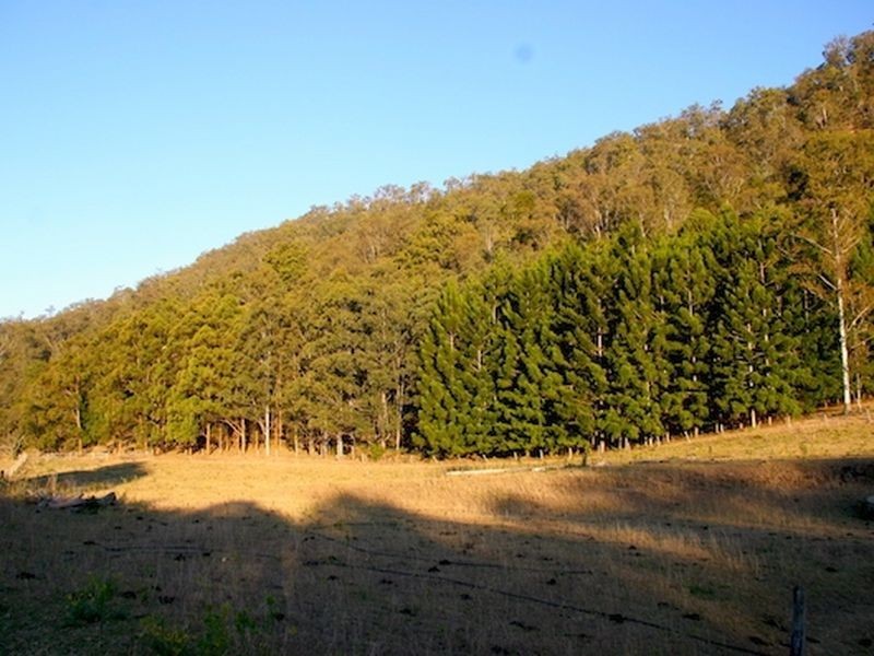 181 Lindsay Road, Bentley NSW 2480