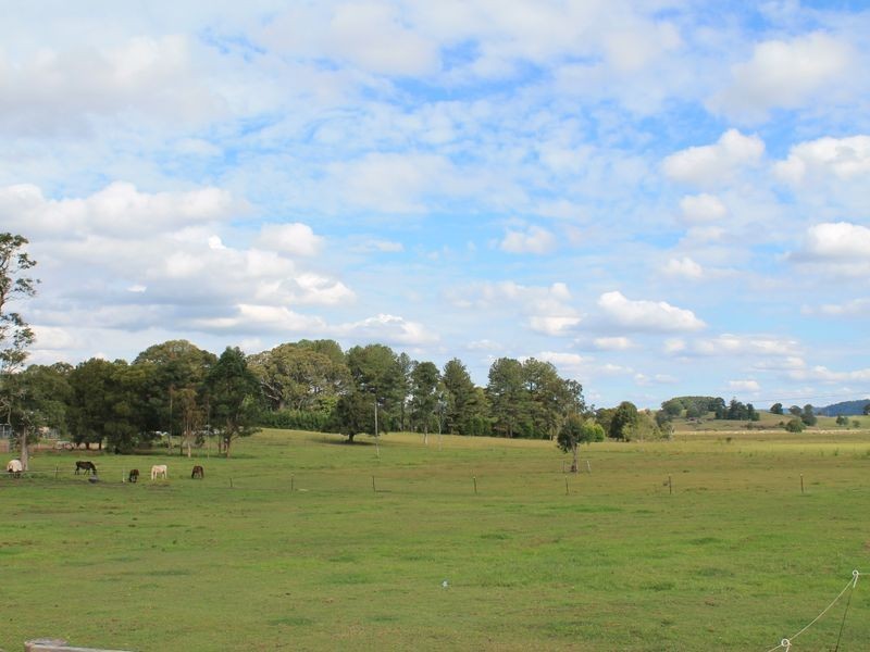 338 Pinchin Road, Goolmangar NSW 2480