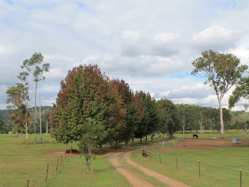 338 Pinchin Road, Goolmangar NSW 2480