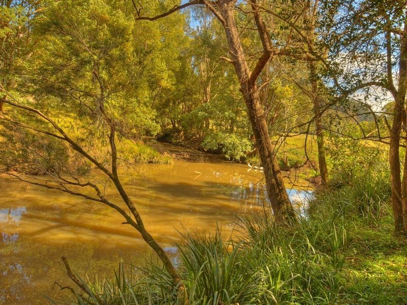 2347 Nimbin Road, Coffee Camp NSW 2480