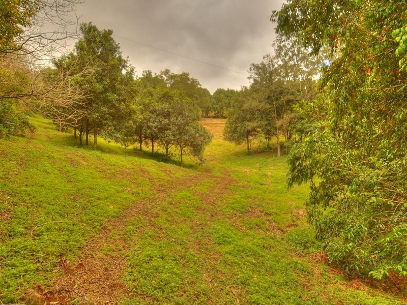 17 Byrne Road, Rosebank NSW 2480