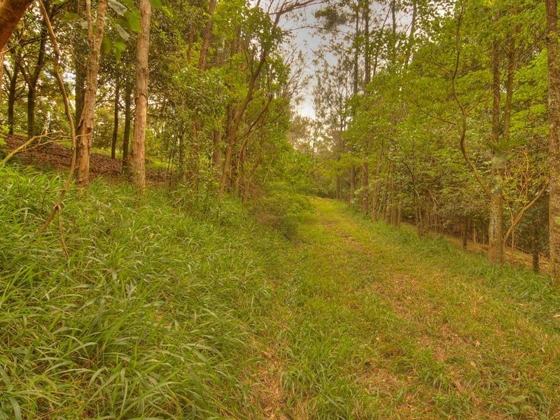 17 Byrne Road, Rosebank NSW 2480