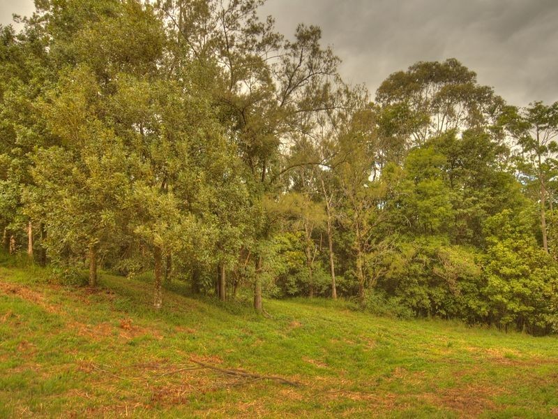 17 Byrne Road, Rosebank NSW 2480