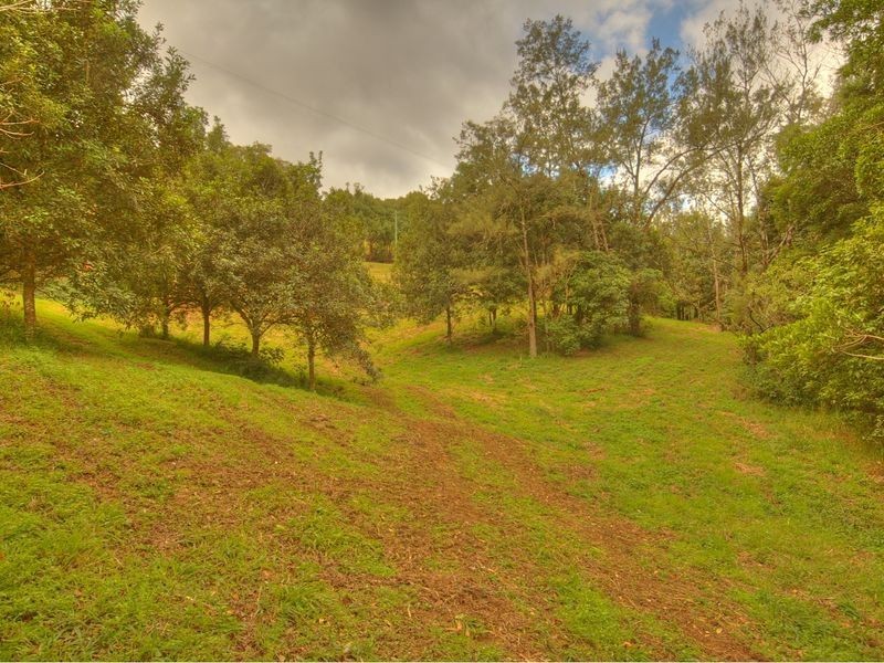 17 Byrne Road, Rosebank NSW 2480