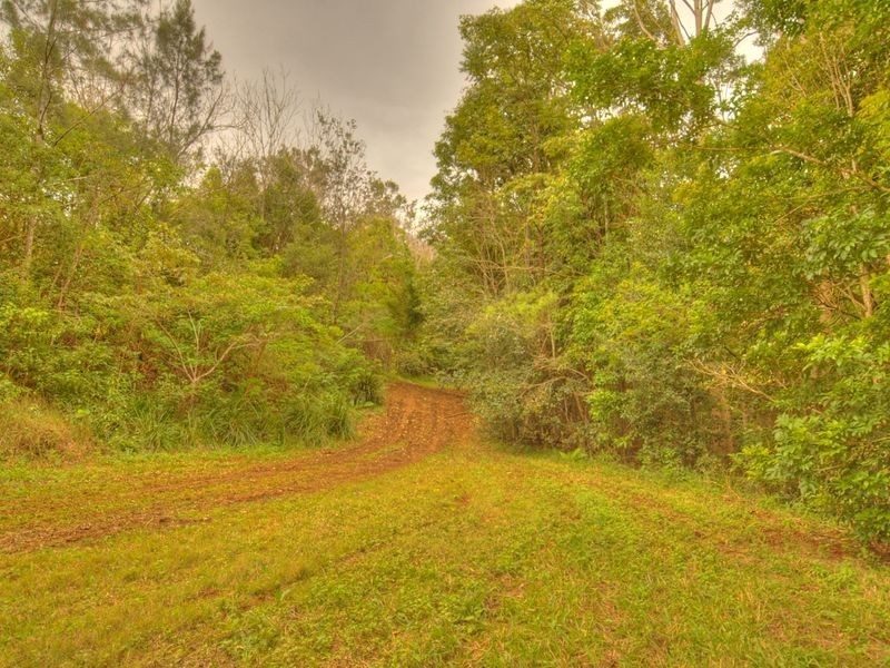 17 Byrne Road, Rosebank NSW 2480