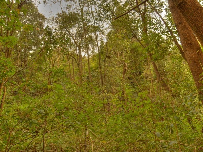 17 Byrne Road, Rosebank NSW 2480