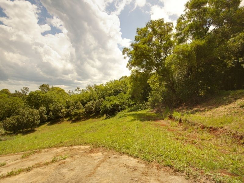 17 Byrne Road, Rosebank NSW 2480