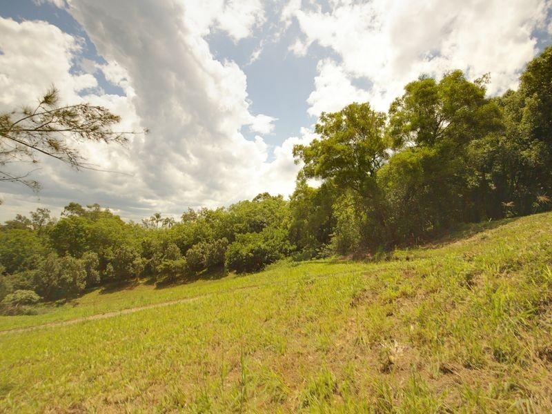 17 Byrne Road, Rosebank NSW 2480