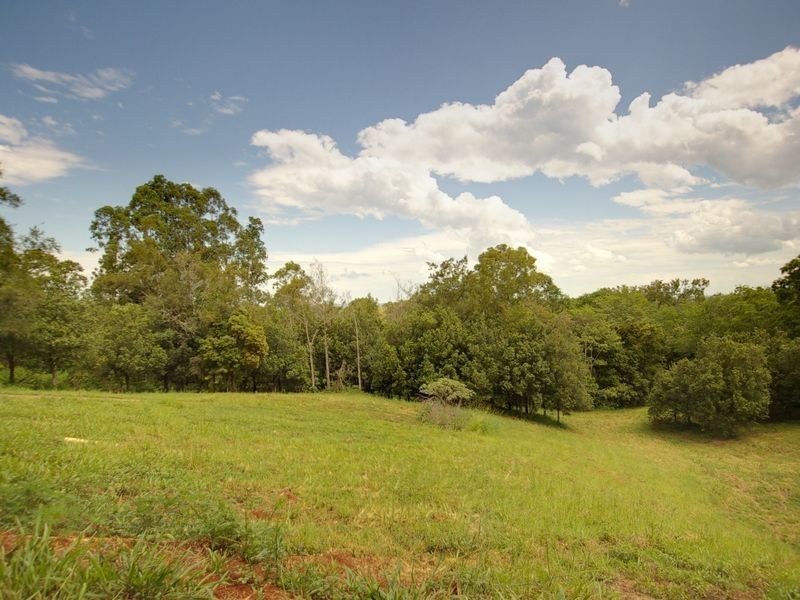 17 Byrne Road, Rosebank NSW 2480