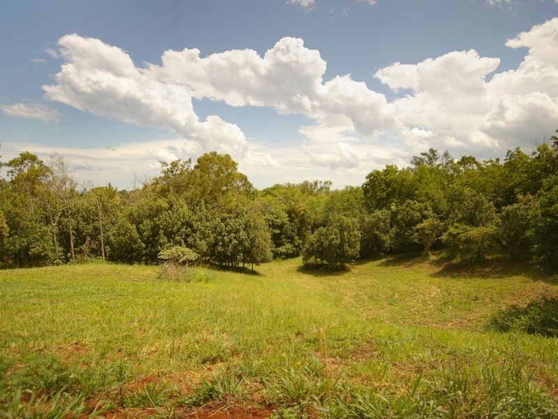 17 Byrne Road, Rosebank NSW 2480