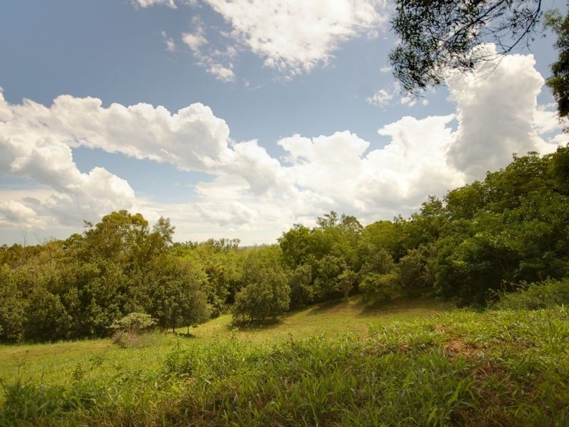 17 Byrne Road, Rosebank NSW 2480