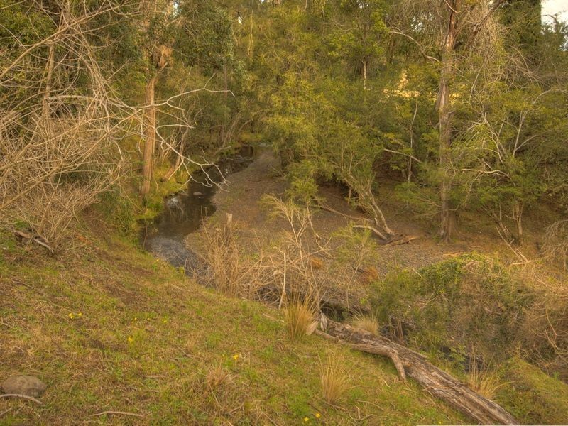 Lot 1 Olympian Road, Kyogle NSW 2474