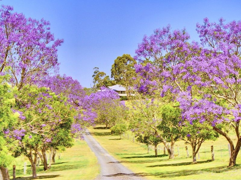 140 Hazlemount Lane, Lismore NSW 2480